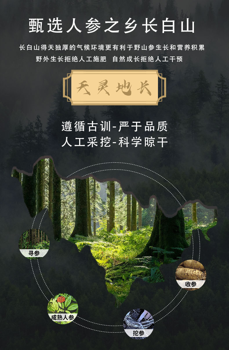 Wild Mountain Ginseng Gift Box Dried Root Slices 15 Years and Above for Soup and Decoction key features