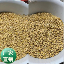 �a��ֱ�l��ô����N�ӄ������ݠI�B�S�������Bֳ���N�Ѵ�ȫ