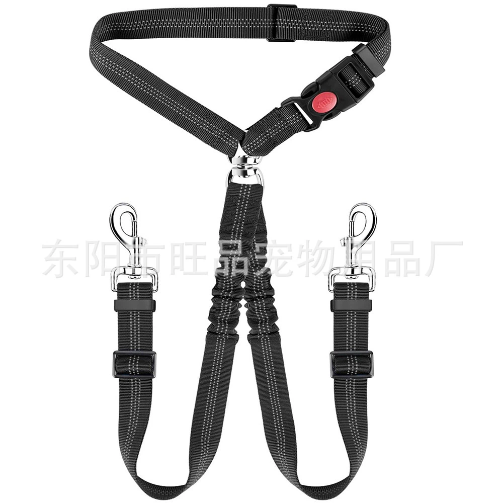 Автомобиль с одной и двумя двуголовыми поводками для домашних животных