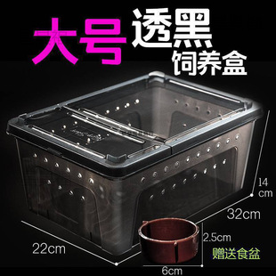 ���I������B�����x�����д���С̖�䗫��С����֩���p�_��������