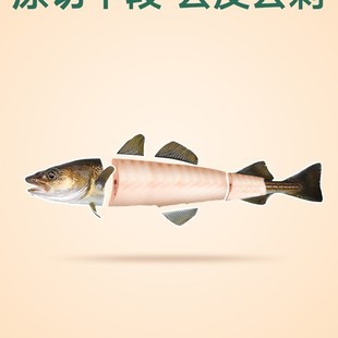 ������˴��������L�~���r����L�~�K�������b200g�͋냺�oʳʳ�V