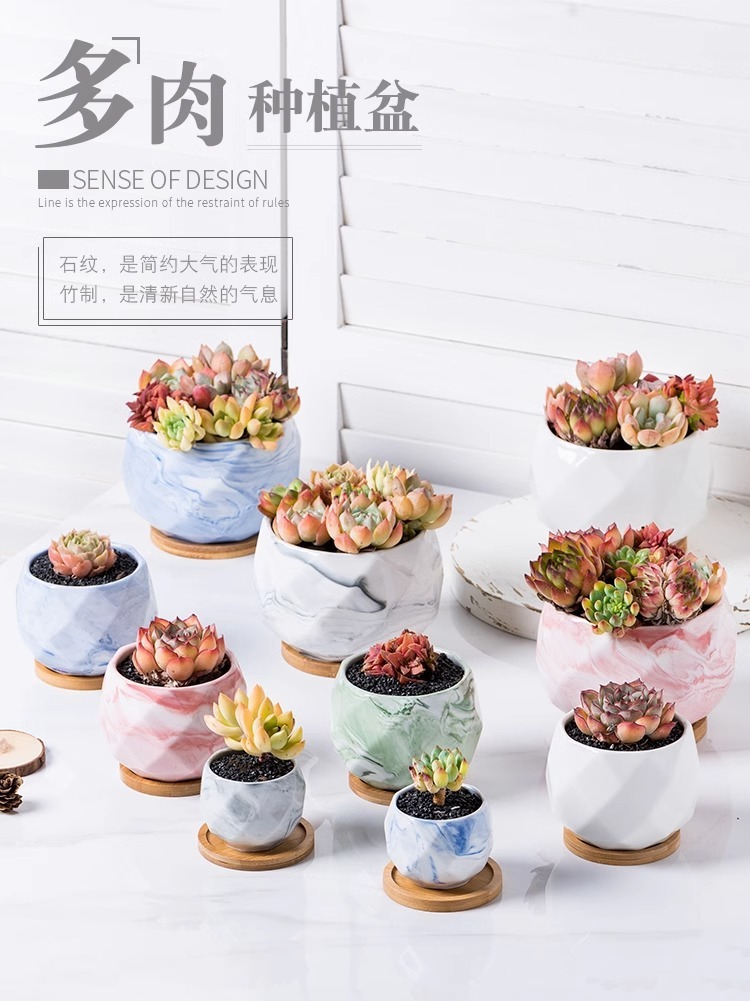 8df52e6e-0f52-4c86-95ca-353bf23614db.jpe