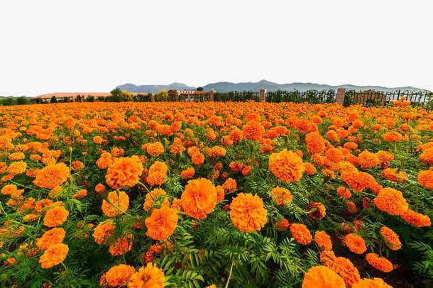 bc1b6c9c7f667af4135db7af092a13