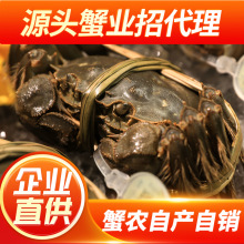 KݾƷlзԭaֱl зYЬF؛Fl ͶYзl