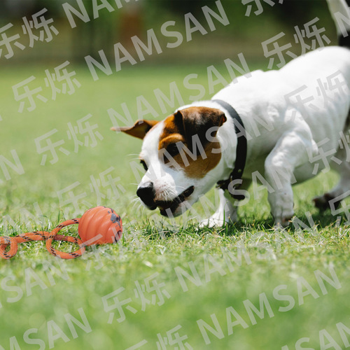 Pet Toy Ball Rope Rubber Training Interactive Bite-Resistant Educational Molar and Teeth Cleaning Ball Factory Direct Sales