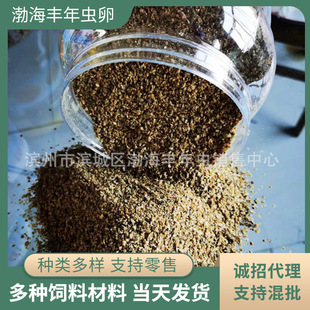 ���С�ͽ��~�~�Z�t�x�~�x���^�p�~�K���Ꭷ�~�I�B�~�x�ɏS�����l