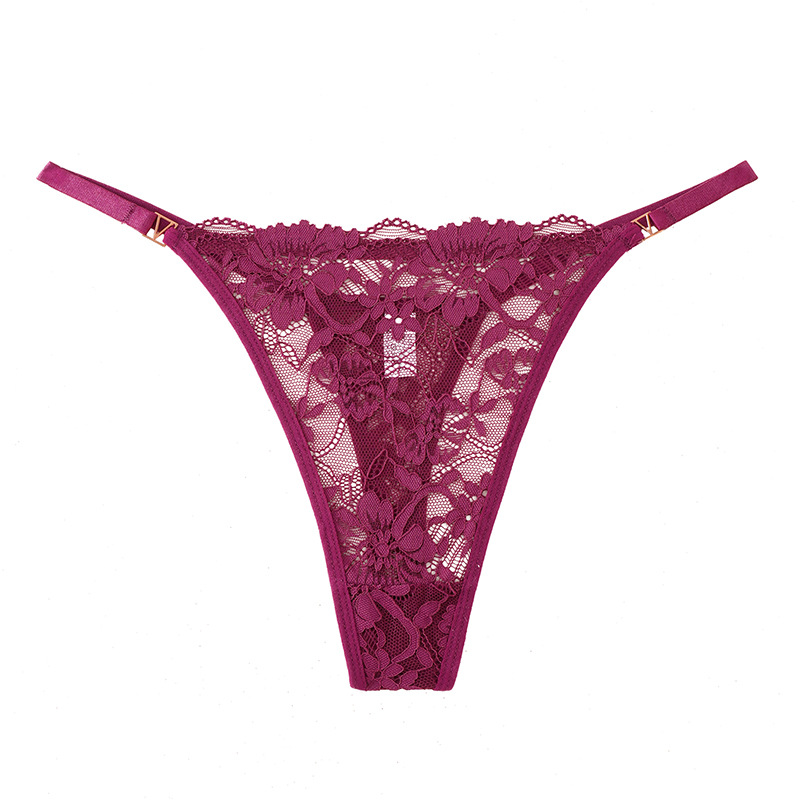 Europa y los Estados Unidos transfronterizos sexy de encaje transparente, cintura baja, cintura delgada, bordado puro, ropa interior de dama.