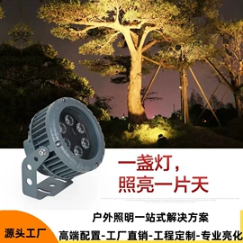 水底灯;投射灯;埋地灯