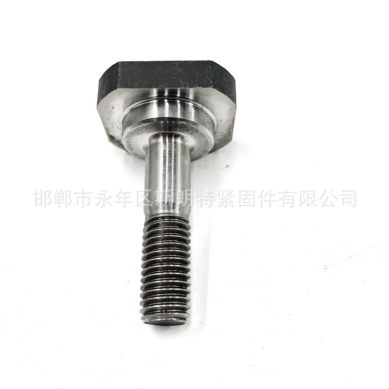SS304����ַǱ���˨ SS316L����ַǱ���ĸ 304��˨316L�����