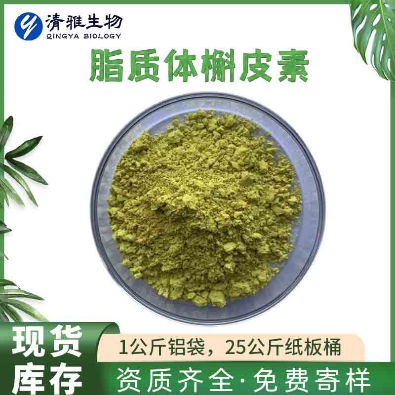 Liposome Quercetin 50%/70%/80% Nano-Wrapped Water-Soluble Sophora Flavescens Extract Manufacturer Ready Stock