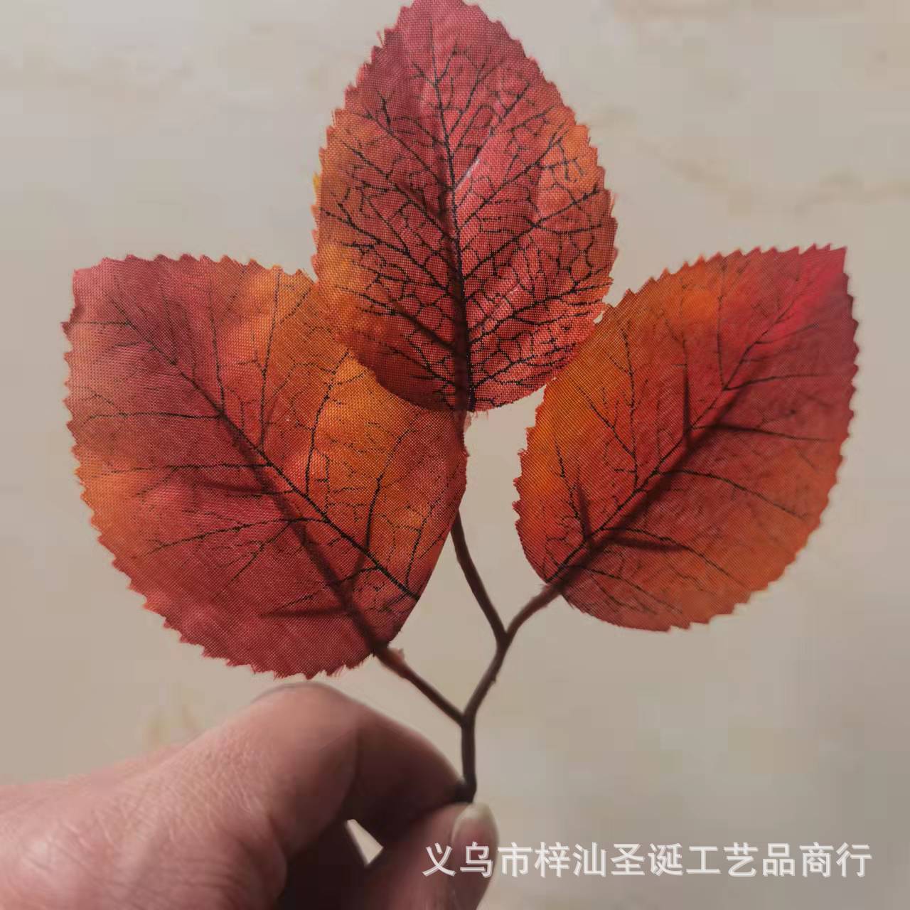 图片_20211120145602