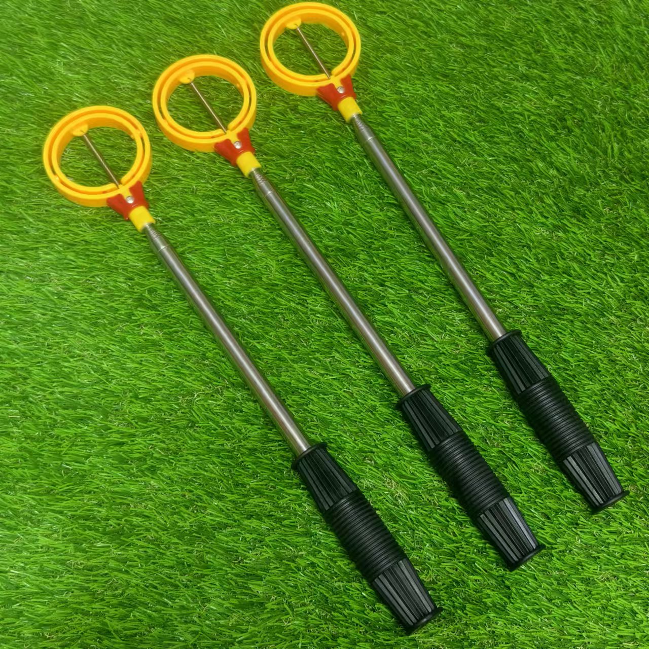 微信图片_20241129125427