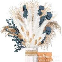 �JȔ�ɻ���β��������˹���JȔ�ݸ߼����滨�ɻ��ɻ�����������