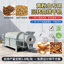 箱式干燥设备;带式干燥设备;滚筒干燥设备