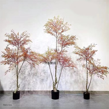 WL WtGֲl ûˇbܛb辰