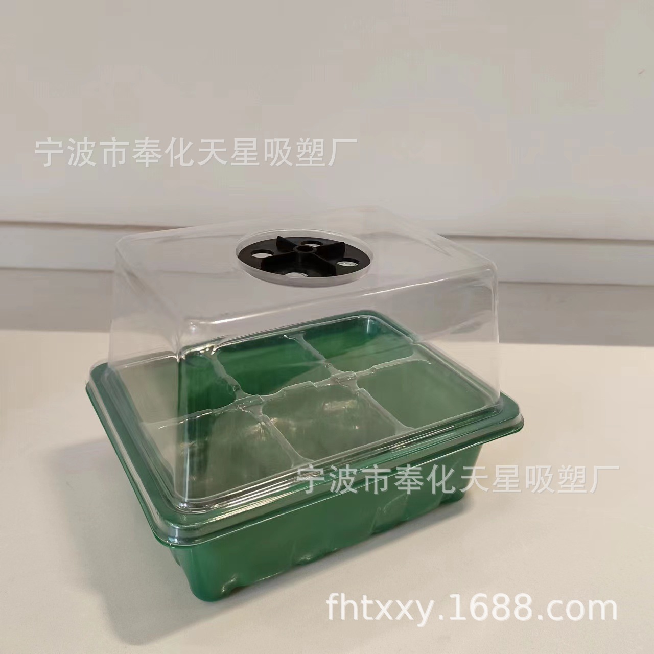 공기 구멍이 있는 녹색 바닥 6홀 투명 구멍과 높은 뚜껑