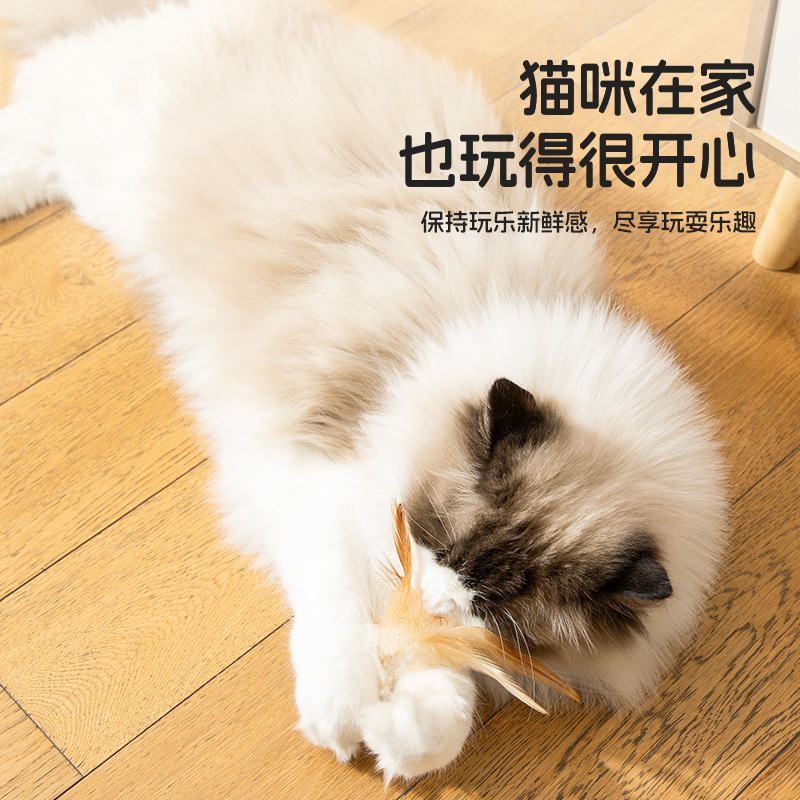 猫猫自嗨解闷新款逗猫玩具新品创意猫咪玩具小猫逗猫羽毛球用品