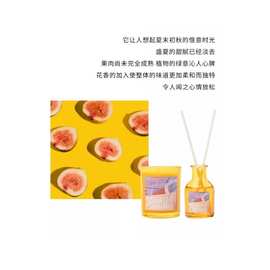 LITTLE B小惬意mini蜡烛散香礼盒 彻底葡萄柚