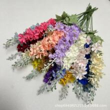 ���滨2��ֲ�q�w��ݻ�c�����b����L���ӾƵ��Y���Ų��û�