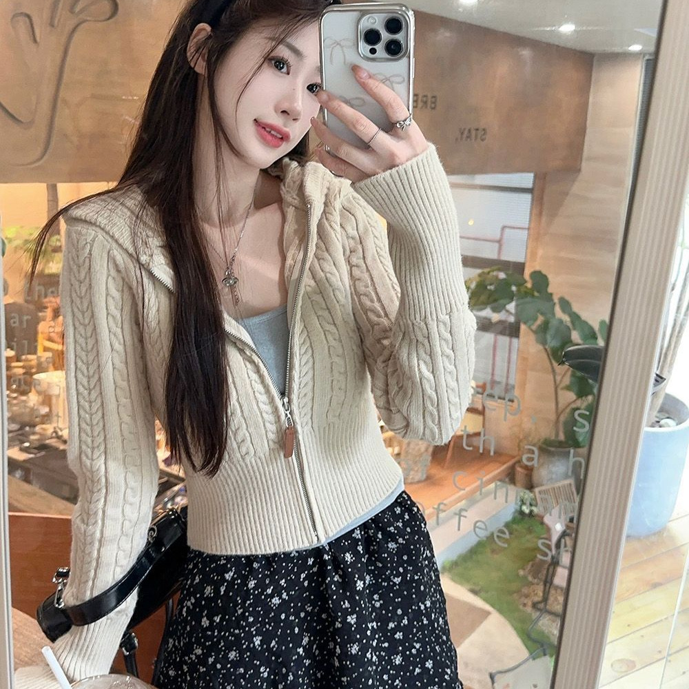 Gentle Wind Twist Hooded Knitted Cardigan Women's Autumn and Winter Korean Style Lazy Zipper Sweater Coat Slimming Short Top