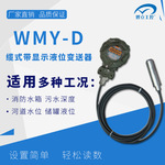 WMY-C WMY-D WMY-CXS投入式压力表 缆式压力液位计 厂家直供！