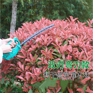 Electric hedge trimmer Rechargeable Brushless Greening Tool Small Double Blade Straight Knife Arc Scimitar Ball Tree Tea Pruning