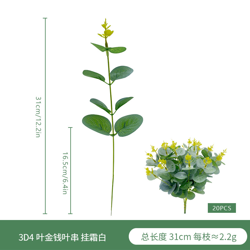 3D4 리프 머니 리프 스트링 서리 화이트 A09646