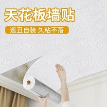 ��ײ��ĭ���N������ճ��ˮ�����컨���ڳ����ҿ͏d��߅����ȹ�ڼ�