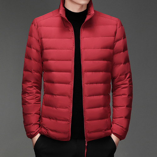 New off-season casual lightweight down cotton jacket for men, white down insulated stand-up collar short down jacket