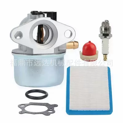 Suitable for 694202 694882 693909 692648 799868 498170 799872 carburetor (Carburetor)