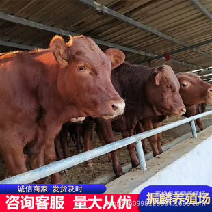 ��ľٝţ�Bֳ������ ��ϸ�����ţ�كr�� �����Sţ