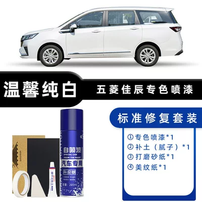 Wuling Jiachen Self-Spray Paint Warm Pure White Special Car Supplies Original Car Paint Scratch Repair Touch-Up Pen (Avtomobil boya qələmləri) - color-classification-warm-and-pure-white-standard-repair-send-soil-simple-tools
