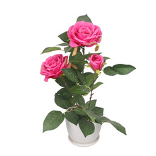 õ廨辰 ҾӲbõ廨 Ƶkb羳؛Դ