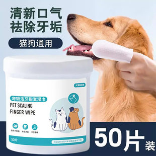 ������ڳ����X��ָ�׹���؈���ǻ�坍ˢ��ָ���p�����ϴ�����