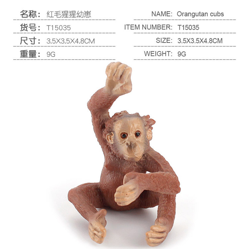 PL127 - 706 Cachorro de orangutan 9g