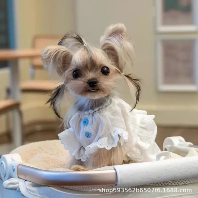 Pet Spring and Summer Cat and Dog Loose Breathable Flying Sleeve Shirt Small Teddy Dog ​​Maltese York Clothes