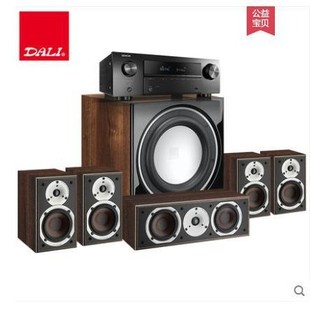 DALI/Dani SPEKTOR Qidian 1 home wall-mounted 5.1 Home Theater Speaker subwoofer combination