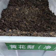 �S����N�� �²����ں����S����N�ӽ����S̴�N�ӻ���ľ��N