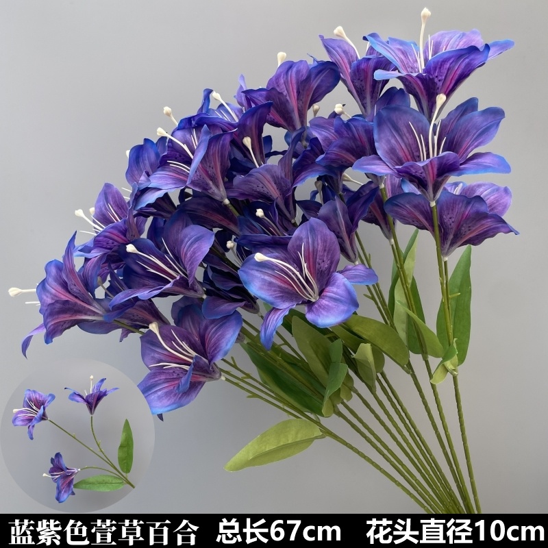 진한 보라색 파란색 보라색 헬리크리섬 백합