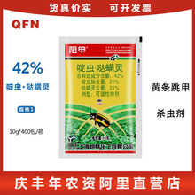 阻甲 42%啶虫脒哒螨灵青菜蔬菜生菜黄条跳甲专用杀虫剂10克g