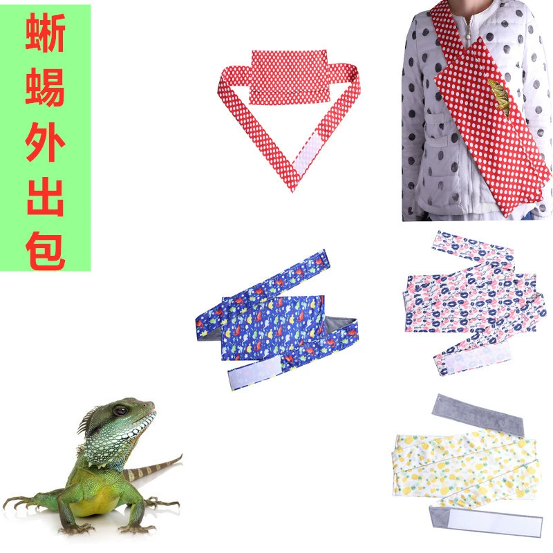 Трансграничная Горячая продажа ящерица Хамелеон Тоторо морская свинка голландская свинья исходящая сумка для ползания домашних животных исходящая дорожная сумка прогулочная ящерица