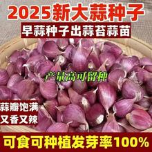 ��Ƥ���^����N����Ʒ�߲˷N����ϴ��^��N����Ʒ���^��N�Ӵ��l