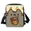 Pusheen satchel-03