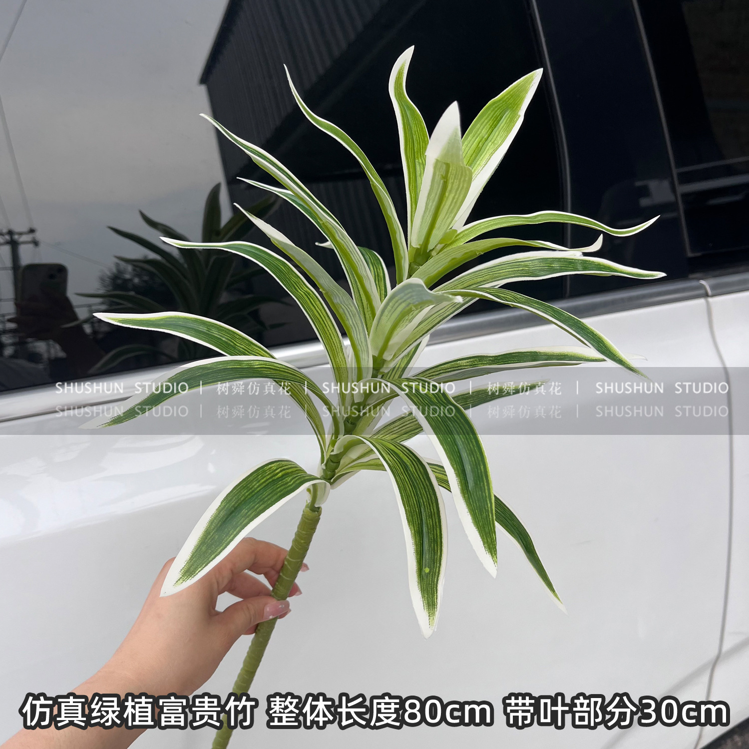 Bambú lirio único-borde blanco verde (pequeño)