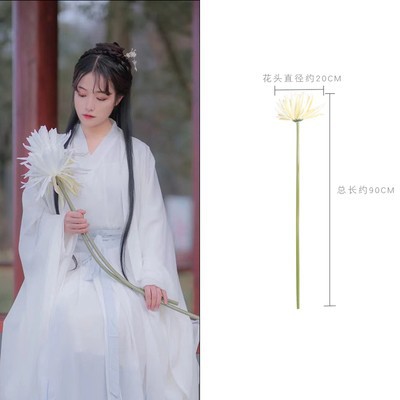 One white epiphyllum-0x0cm