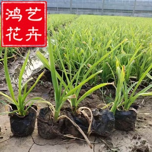 ����ݻ��籭��������lƷ�N�Rȫ���^�쾰���̾G��������ͥԺ