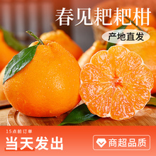 四川春见耙耙柑粑粑柑10斤橘子甜杷杷新鲜水果丑柑桔年货皇帝柑