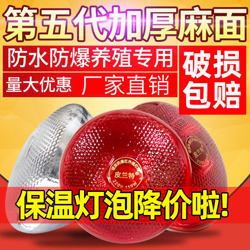 加厚畜牧保温灯泡 养殖取暖烤灯 红外线麻面仔猪加热灯 防水防爆