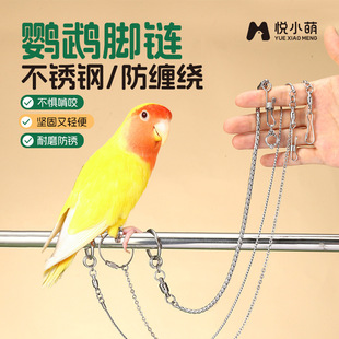 ��С���B�W�^�_朲����_���p�_�h�ҙCС̫�վ�܌��÷�Ó�۷��w�K