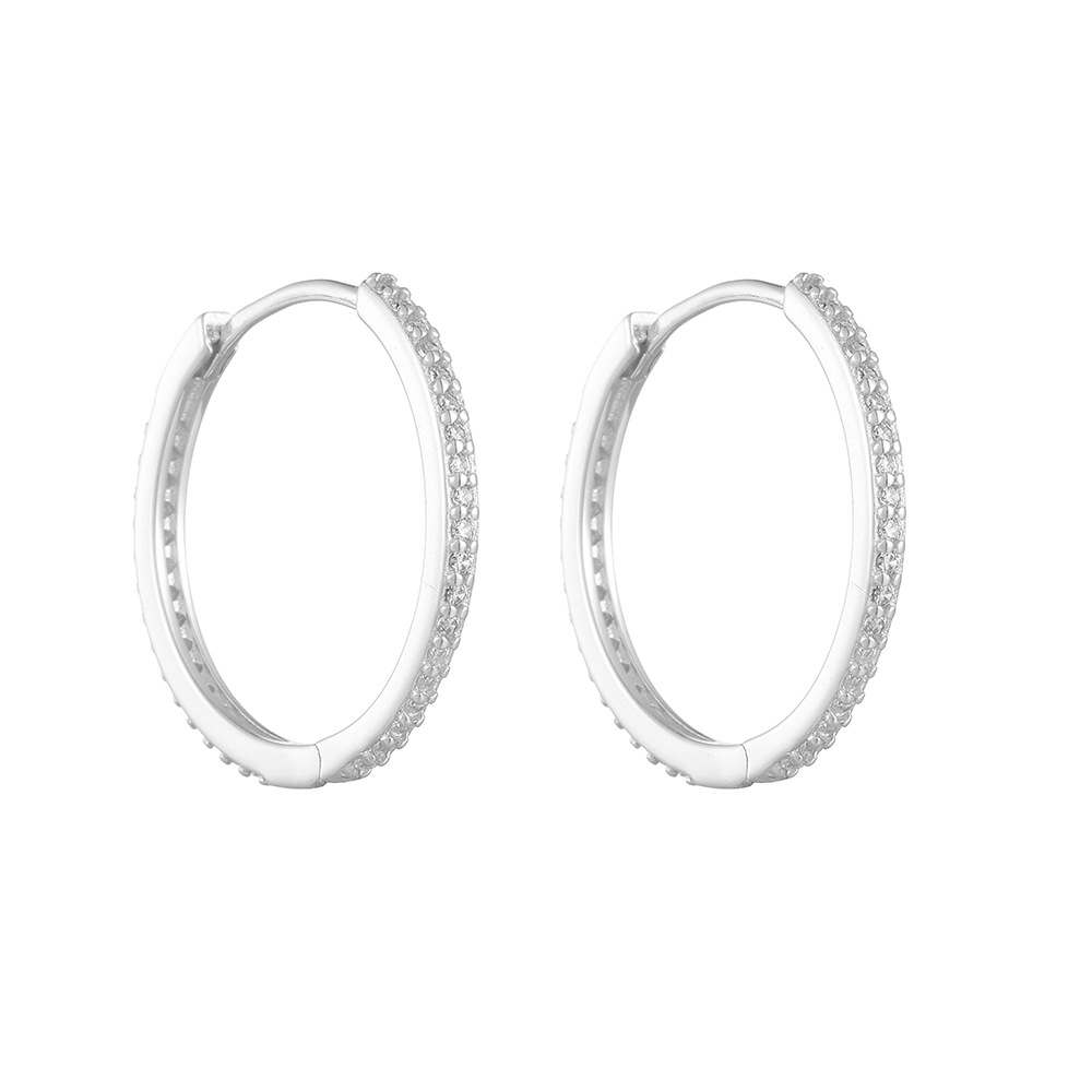 Vintage Style Style 1 Pair 925 Sterling Silver Zircon Geometric Solid Color Hoop Earrings